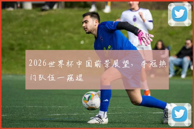 2026世界杯中国前景展望，夺冠热门队伍一窥逗