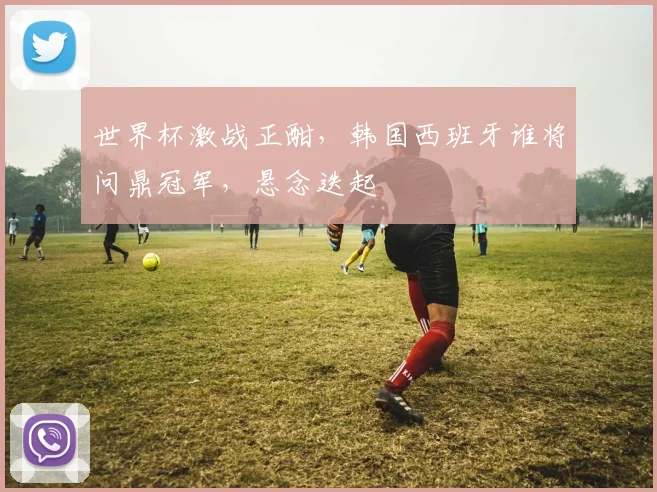 世界杯激战正酣，韩国西班牙谁将问鼎冠军，悬念迭起