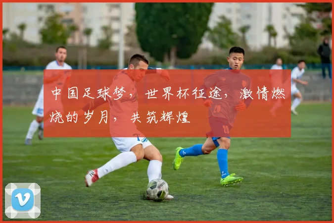 中国足球梦，世界杯征途，激情燃烧的岁月，共筑辉煌